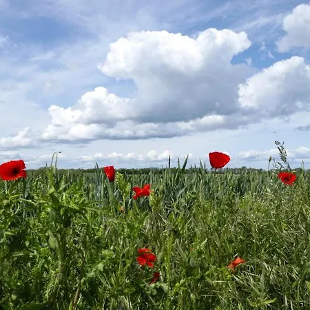 Apartamento Sternschnuppe